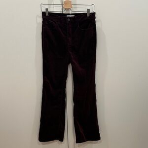 LOFT burgundy-plum velvet bootcut pants